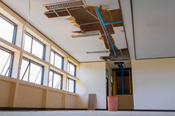 Best Water damage cleanup near me  in White House, TN