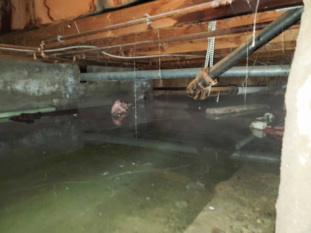 Reliable TN Water damage restoration Solutions