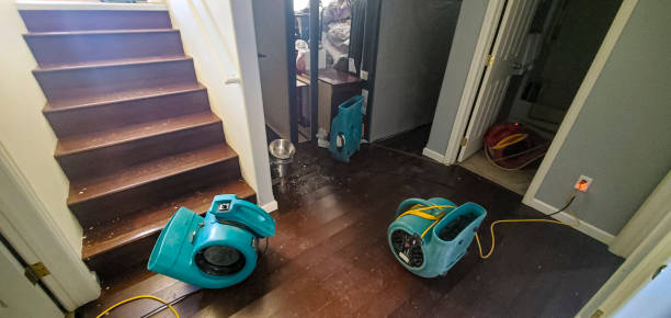 Best Commercial water damage restoration  in White House, TN
