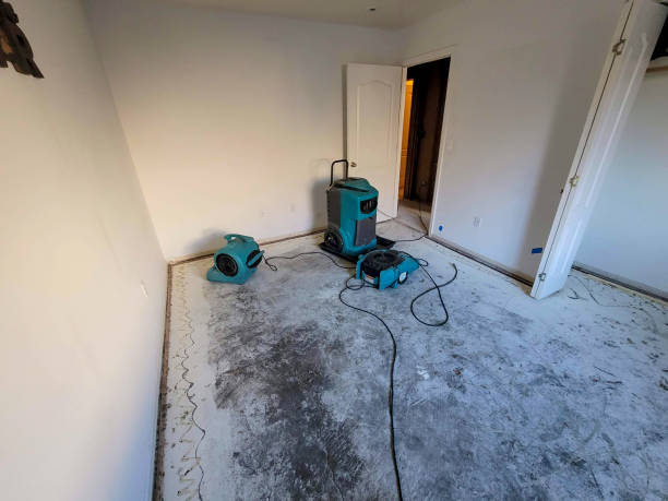 Best Fire Damage Restoration  in White House, TN
