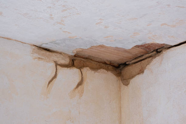 Best Water damage restoration cost  in White House, TN