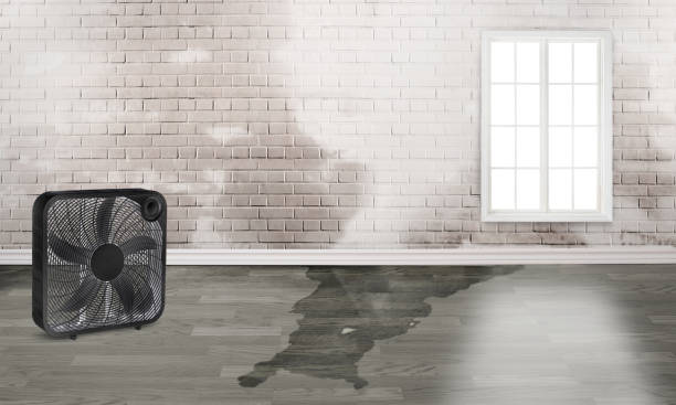 Best Emergency water damage restoration  in White House, TN