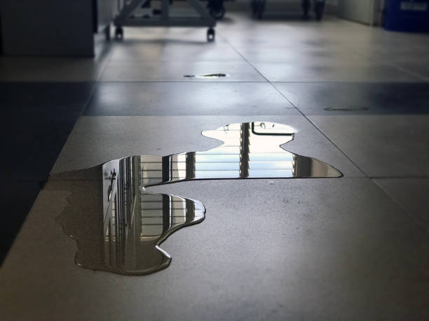 Best Water damage cleanup near me  in White House, TN