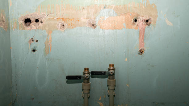 Best Water damage mitigation services  in White House, TN