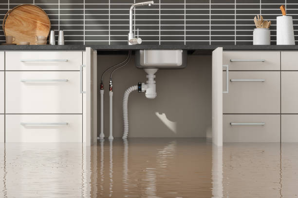 Best Flooded house restoration  in White House, TN