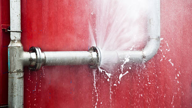 Best Ceiling water damage repair  in White House, TN