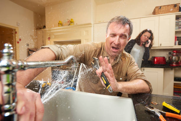 Best Basement water damage restoration  in White House, TN